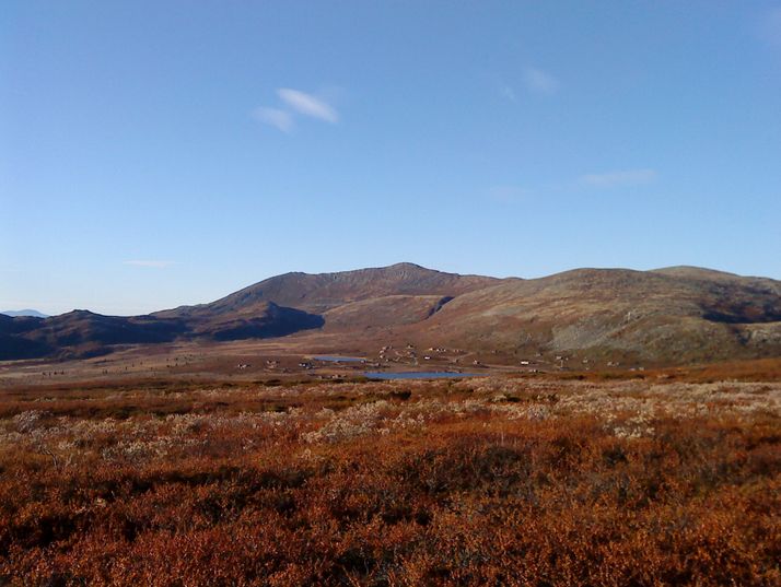 Avstjønna sett fra Grønfjell.